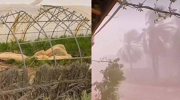 عاصفة رمليّة تضرب ولاية قبلي (فيديو)