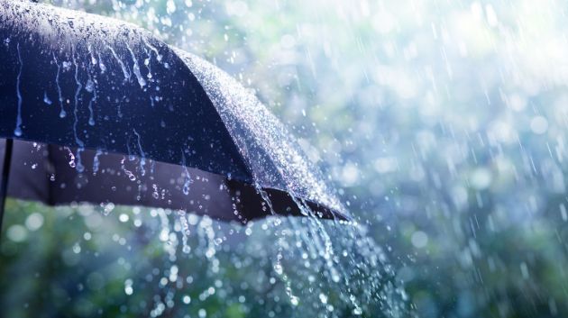 أمطار غزيرة في هذه الولايات