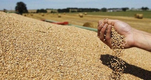رئيس ديوان وزير الفلاحة يعاين جاهزية مراكز تجميع الحبوب