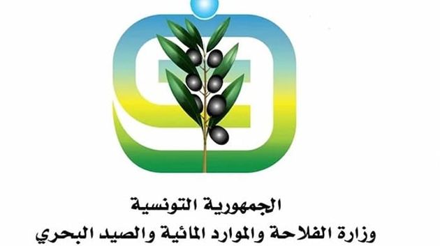 صدور الأمر المتعلق بشروط تدخل صندوق تعويض الأضرار الناجمة عن الجوائح الطبيعية