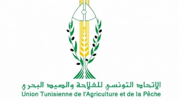 انطلاق أول تجربة في تونس لإحداث شبكة مسترسلة لأسواق الفلاحين