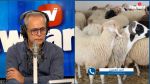 رئيس غرفة القصّابين: 'سعر العلوش يصل إلى 1400 د.. والحديث عن توفّر الأضاحي مغالطة' 