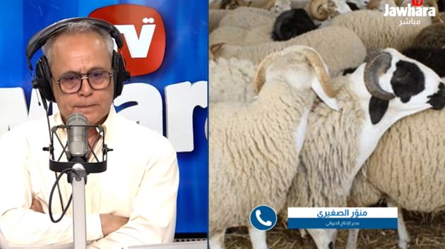 مدير الإنتاج الحيواني باتحاد الفلاحة: أضاحي العيد متوفرة والأسعار لم تُحدد بعد