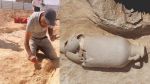 القصرين: اكتشاف أثري خلال القيام بأشغال لبناء مستشفى