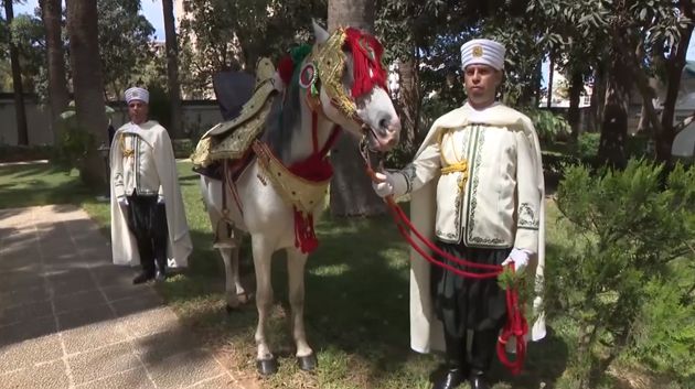 تبون يهدي سلطان عُمان حصانا بربريا أصيلا (فيديو)