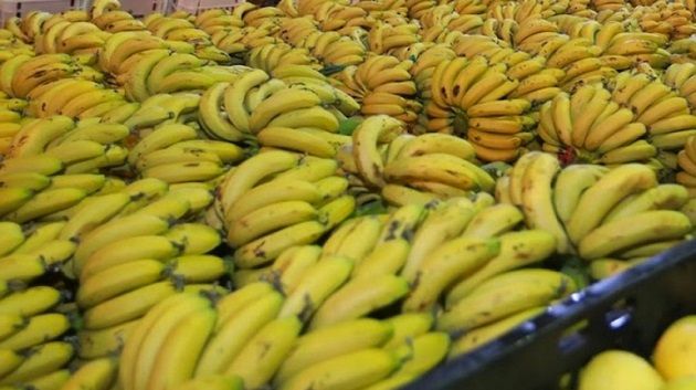 نابل: حجز ما قيمته 450 ألف دينار من الموز