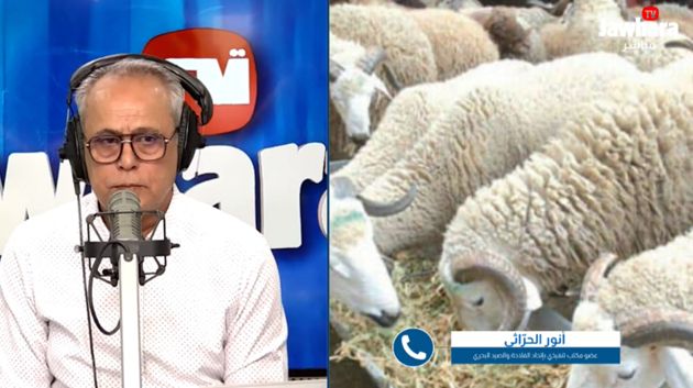 أنور الحرّاثي: 'سعر علّوش العيد يتراوح بين 800د و1200د حاليًّا' 