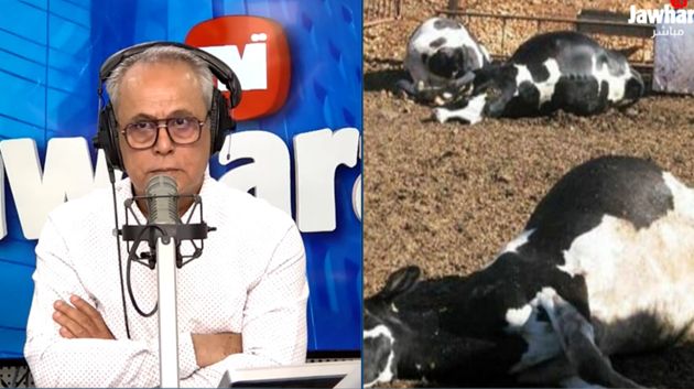 نفوق عدد من الأبقار ببنزرت.. ممثّل نقابة الفلاحين بالجهة يُوضّح 