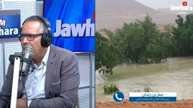 اتحاد الفلاحة: 'تضرّر حوالي 8 آلاف هك من الزّراعات الكُبرى بالكاف بفعل التّبروري'