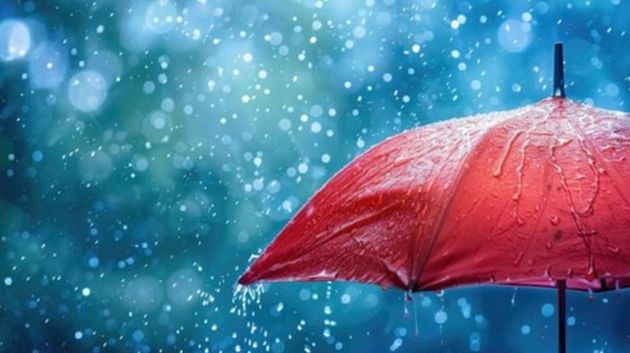 نشرة متابعة: أمطار غزيرة اليوم تشمل هذه الولايات