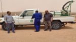 مدنين: وفد من 'الفاو' لمتابعة تسرّب الجراد الصحراوي‎
