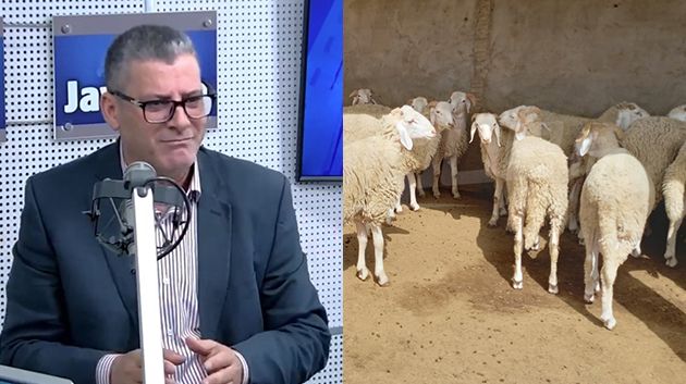 فتحي بن خليفة: 'أسعار الأضاحي تراجعت في مختلف الولايات' (فيديو)