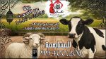 جمعية عشاق حمام سوسة: تواصل حملة المساعدات بمناسبة  عيد الاضحى