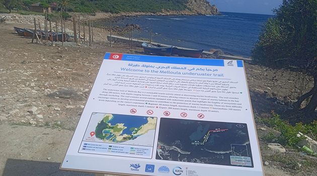 جندوبة.. افتتاح مسلك بحري بخليج ملولة المتميّز بالتنوع البيولوجي