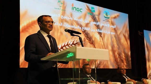 وزير الفلاحة: توفير كل الإمكانيات لضمان حسن سير عمّليات الحصاد والتّجميع