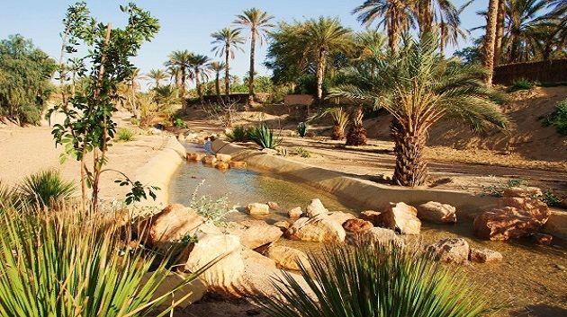 قابس: انتعاشة ملحوظة للقطاع السياحي
