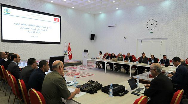 اللجنة الوطنية لليقظة ومكافحة الجراد: ضرورة ايلاء آفة الجراد الصحراوي الأهمية القصوى من الجميع