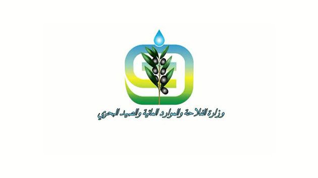 وزارة الفلاحة: توفير قروض ميسّرة لفائدة منتجي الأعلاف الخشنة ومربي الماشية