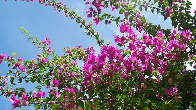 درجات الحرارة اليوم السبت
