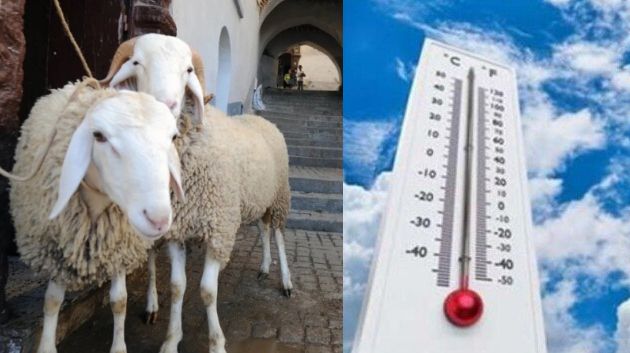 كيف سيكون الطقس خلال  عطلة عيد الاضحى؟