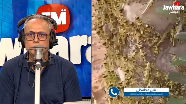 وزارة الفلاحة حول آفة الجراد: 'تمكنّا من مُداواة 21 ألف هك.. والوضع الآن تحت السيطرة' 
