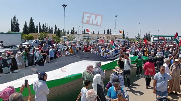 مصطفى عبد الكبير: توقف قافلة الصمود في سرت كان متوقعا ووصولها إلى معبر رفح مستحيل