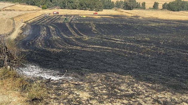 اتحاد الفلاحة بباجة: 'النيران التهمت 120 هك من الحبوب.. والوضع حاليًّا تحت السيطرة' (فيديو)