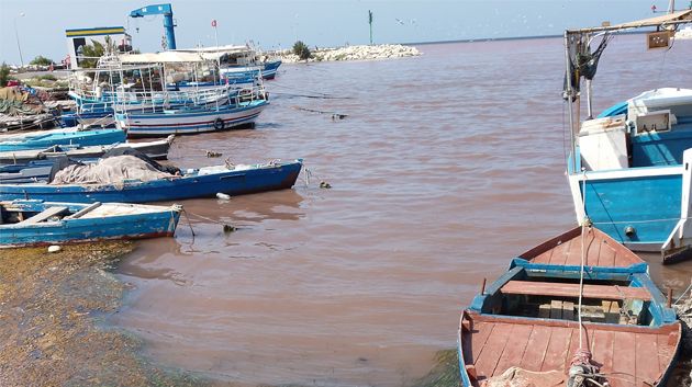 منتدى الحقوق يطالب بإعلان حالة طوارئ بيئية بخليج المنستير