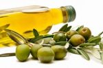 تراجع عائدات صادرات زيت الزيتون