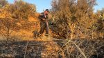زغوان: حريق يأتي على 5 هكتارات بمنطقة جرادو