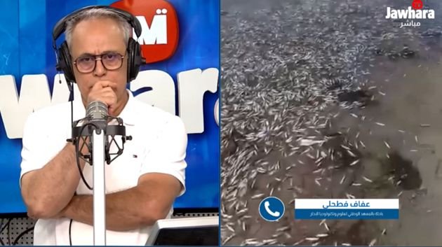 نفوق أسماك وتغيّر لون البحر: باحثة في علوم البحار توضّح أسباب هذه الظاهرة 