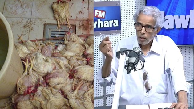 رئيس غرفة تُجّار الدّواجن: '1380 نُقطة بيع عشوائي للدّجاج في صفاقس' (فيديو)