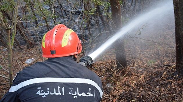 في 24 ساعة : الحماية المدنية تتدخّل لإطفاء  132 حريقا  