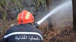 في 24 ساعة : الحماية المدنية تتدخّل لإطفاء  132 حريقا  