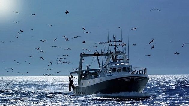 الحماية المدنية تُحذّر من الإبحار