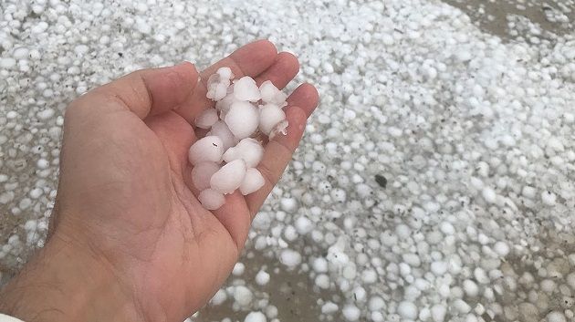 أمطار و تساقط للبَرَدْ في هذه المناطق 