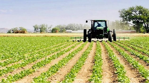 إضراب قطاعي في الفلاحة الخميس المقبل
