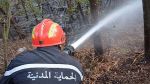 إطفاء 137  حريقا في 24 ساعة 