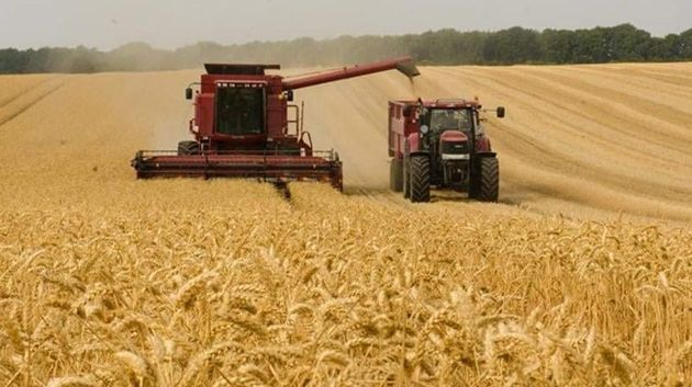 الحكومة تصدر الأمر المتعلق بتحديد سعر الحبوب لموسم 2025