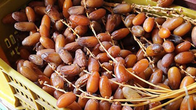 تراجع عائدات صادرات التمور بنسبة 3،8% إلى موفى جوان 2025