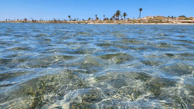 ارتفاع في درجات الحرارة اليوم وسماء صافية إلى قليلة السحب على كامل البلاد 