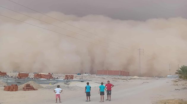 تقييم الأضرار الناجمة عن العاصفة الرملية التي ضربت توزر