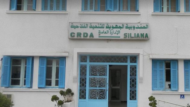رئيس دائرة الإنتاج الحيواني بسليانة: الوضع الصحي للقطيع سليم 