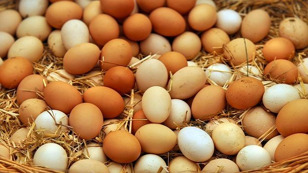 دراسة: بيضة واحدة أسبوعيا قد تقي من الإصابة بـ