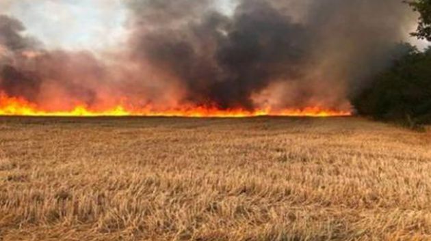 اندلاع حريق بجبل الدحارة بمعتمدية برقو