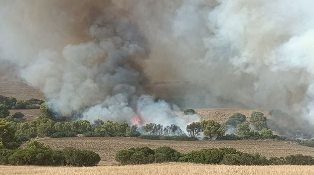 سليانة: إشتعال بعض الجيوب النّارية من جديد بجبل أولاد بوهاني