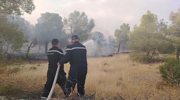 القصرين: السيطرة على حريق جبل الدولاب