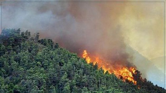 حريق جبل منصور يصل إلى غابات الفحص‎