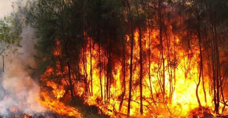 زغوان: نشوب حريق بالفحص بعد تسرّب النيران من جبل منصور بسليانة 