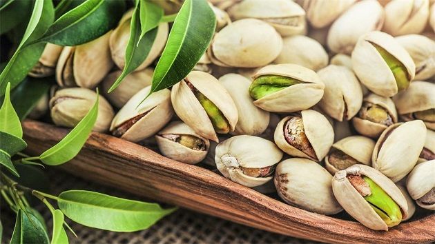 القصرين.. صابة قياسية وغير مسبوقة من الفستق 